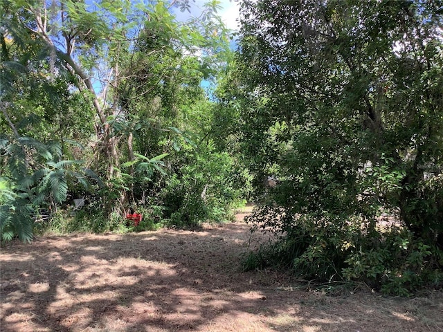 200 W Doane Ave, Eustis, FL 32726 - photo 9