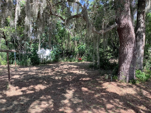 200 W Doane Ave, Eustis, FL 32726 - photo 10
