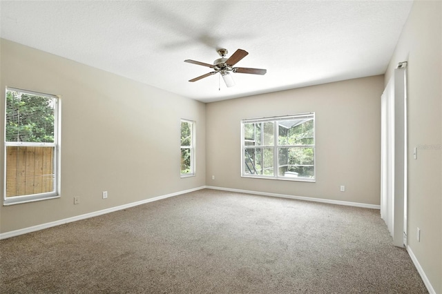 3110 Heartleaf Pl, Winter Park, FL 32792 - photo 23