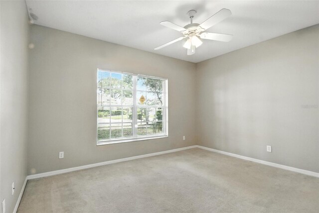 3110 Heartleaf Pl, Winter Park, FL 32792 - photo 28