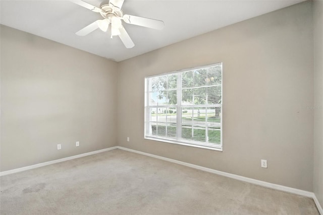 3110 Heartleaf Pl, Winter Park, FL 32792 - photo 29
