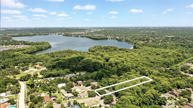 3110 Heartleaf Pl, Winter Park, FL 32792 - photo 55