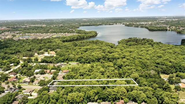 3110 Heartleaf Pl, Winter Park, FL 32792 - photo 66