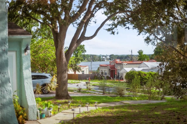 1215 6th St, Clermont, FL 34711 - view of yard