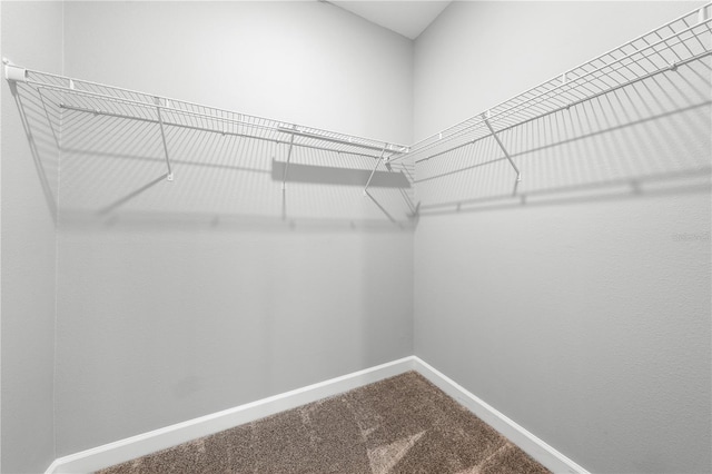 2412 Camden Park Ave, Davenport, FL 33837 - walk in closet featuring dark colored carpet