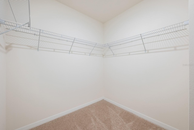 3241 Silas Dr, New Smyrna Beach, FL 32168 - spacious closet with carpet floors