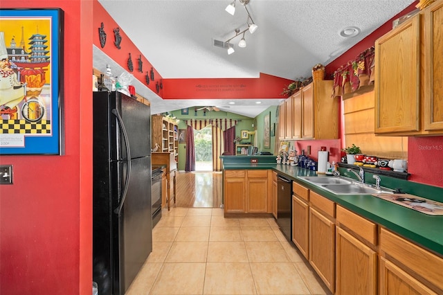 1048 Woodsong Way, Clermont, FL 34714 - kitchen featuring black appliances, lofted ceiling, light tile patterned floors, a peninsula, and a fireplace