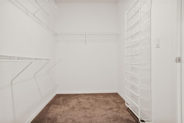 554 Pawnee Ct, Haines City, FL 33844 - walk in closet featuring carpet flooring