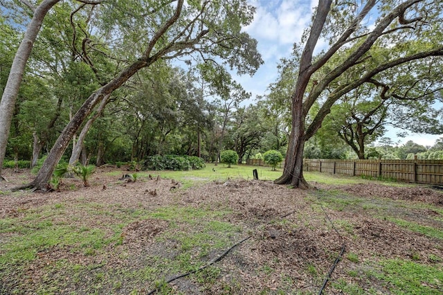 7838 Sloewood Dr, Mount Dora, FL 32757 - photo 31