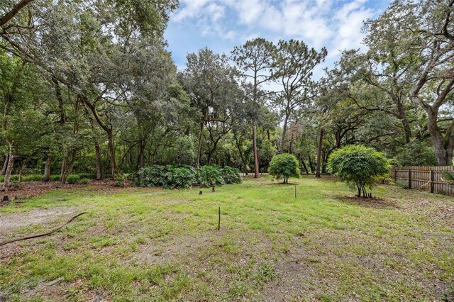 7838 Sloewood Dr, Mount Dora, FL 32757 - photo 33