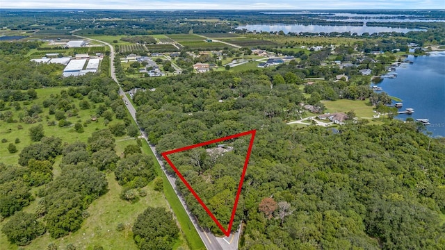 7838 Sloewood Dr, Mount Dora, FL 32757 - photo 40