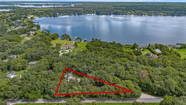 7838 Sloewood Dr, Mount Dora, FL 32757 - photo 42
