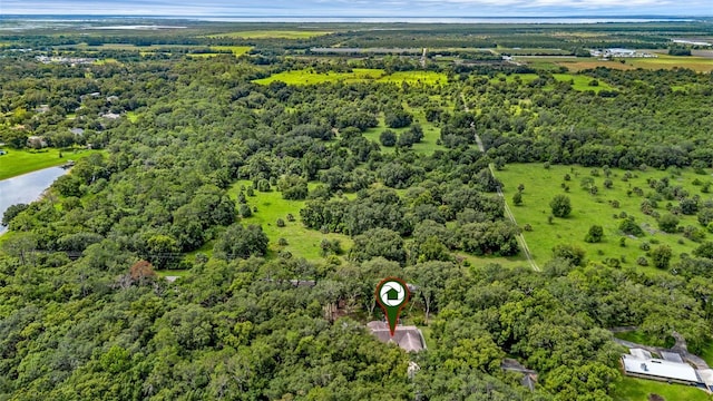 7838 Sloewood Dr, Mount Dora, FL 32757 - photo 45
