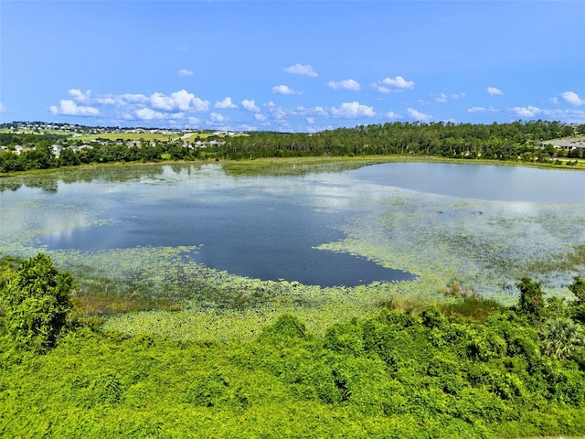 594 Hernando Pl, Clermont, FL 34715 - water view