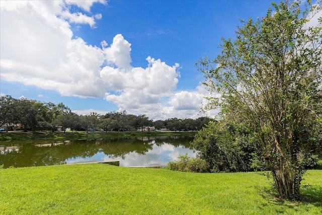 4600 Lighthouse Cir Unit 81, Orlando, FL 32808 - photo 25