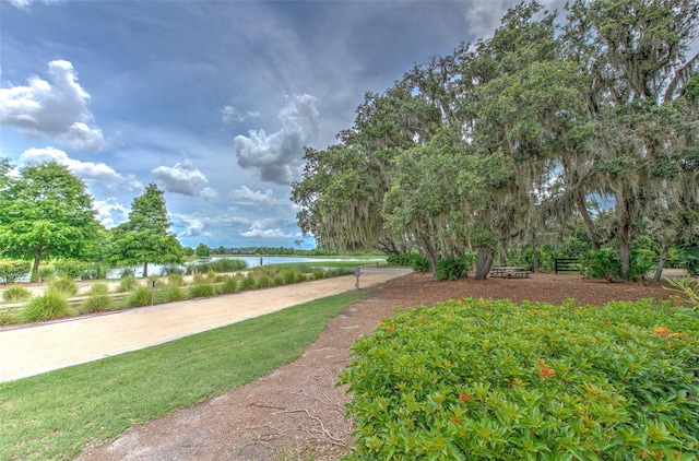12990 Burns Dr, Odessa, FL 33556 - photo 54