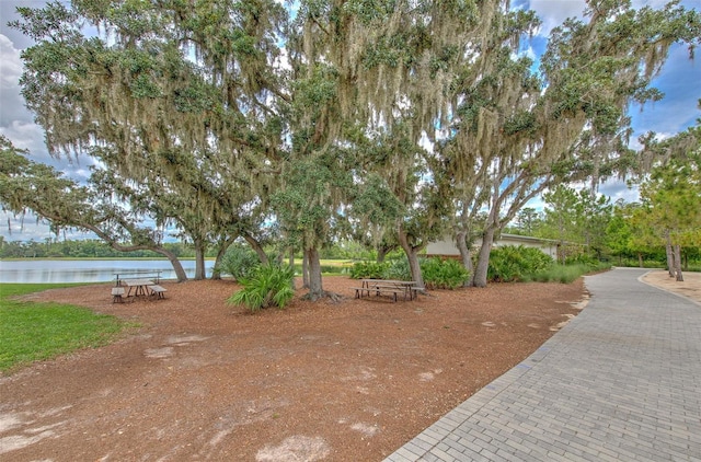 12990 Burns Dr, Odessa, FL 33556 - photo 56