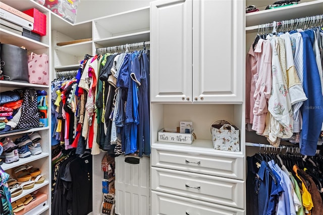 8424 Lake Burden Cir, Windermere, FL 34786 - view of spacious closet