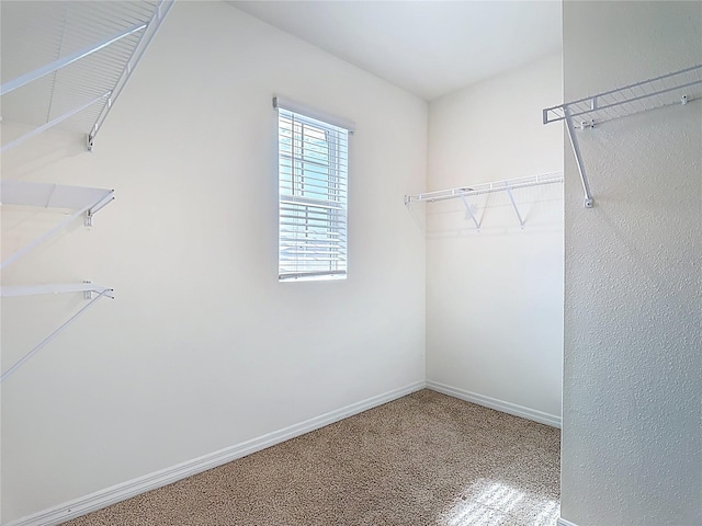 1808 Post Oak Dr, Davenport, FL 33837 - photo 9