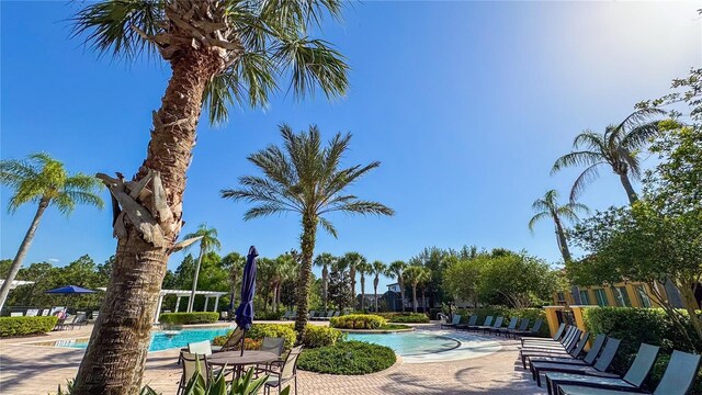 206 Yellow Snapdragon Dr, Davenport, FL 33837 - photo 62