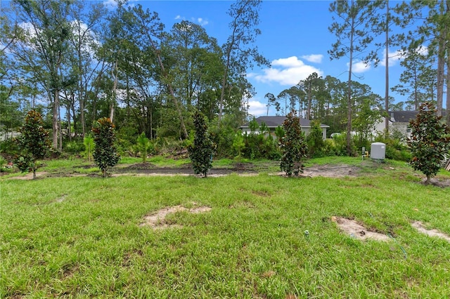 1765 9th Ave, Deland, FL 32724 - photo 19