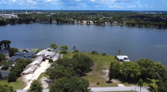 2403 Euston Rd, Winter Park, FL 32789 - photo 6