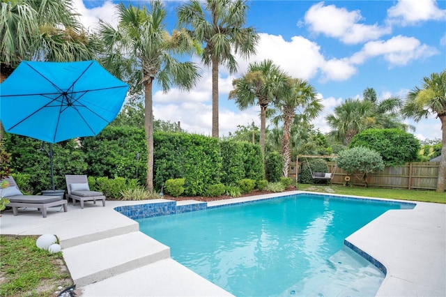 1035 Paladin Ct, Orlando, FL 32812 - view of pool with a patio and a fenced backyard