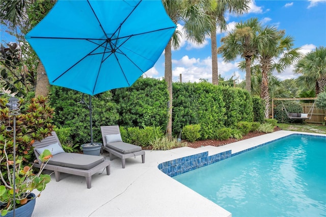 1035 Paladin Ct, Orlando, FL 32812 - view of pool featuring a patio area