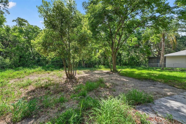 1503 Granite State Ct, Mount Dora, FL 32757 - photo 36