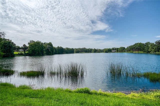 568 S Osceola Ave Unit 15, Orlando, FL 32801 - photo 37