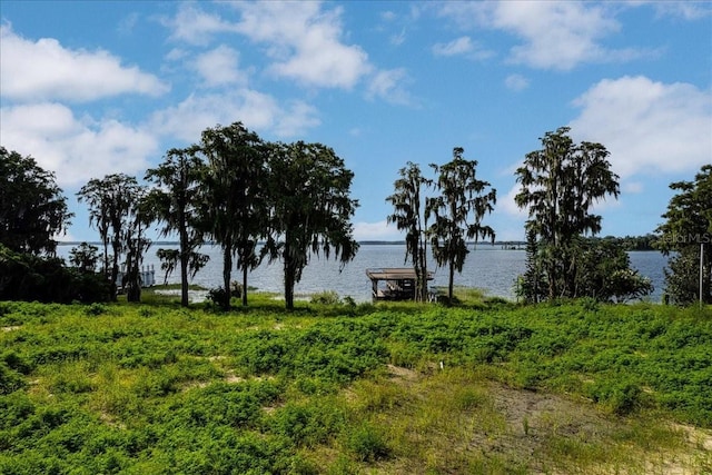 12422 Park Ave, Windermere, FL 34786 - photo 4