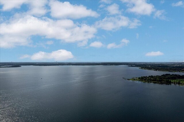 12422 Park Ave, Windermere, FL 34786 - photo 8