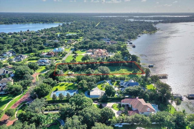 12422 Park Ave, Windermere, FL 34786 - photo 18