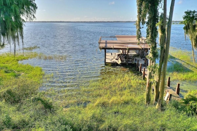 12422 Park Ave, Windermere, FL 34786 - photo 23