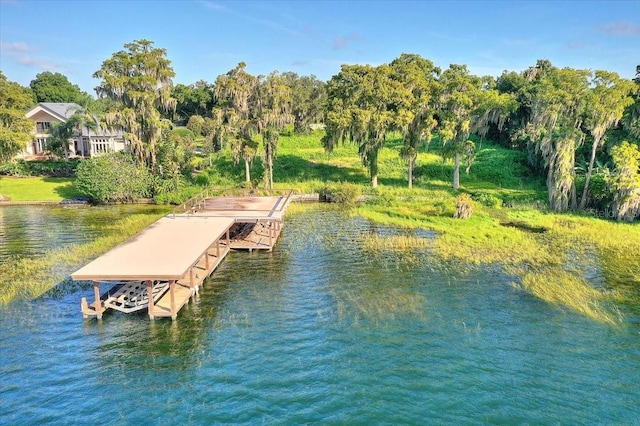 12422 Park Ave, Windermere, FL 34786 - photo 27