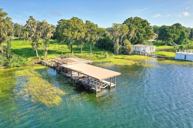 12422 Park Ave, Windermere, FL 34786 - photo 28