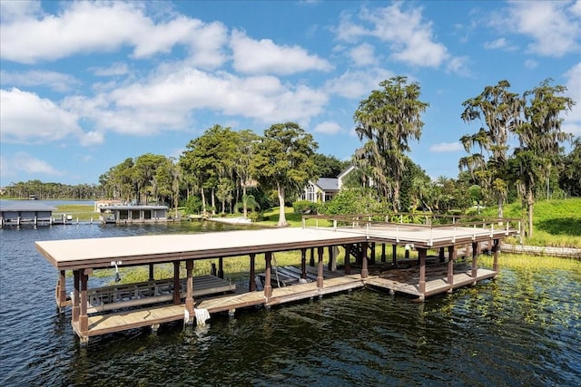12422 Park Ave, Windermere, FL 34786 - photo 45
