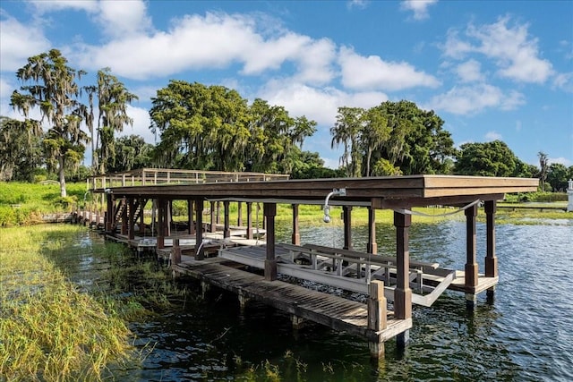 12422 Park Ave, Windermere, FL 34786 - photo 46