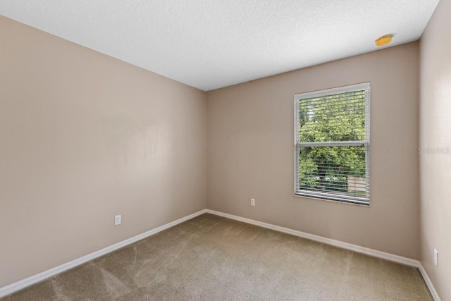 1703 Orrington Payne Pl, Casselberry, FL 32707 - photo 14