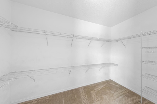 1703 Orrington Payne Pl, Casselberry, FL 32707 - photo 36
