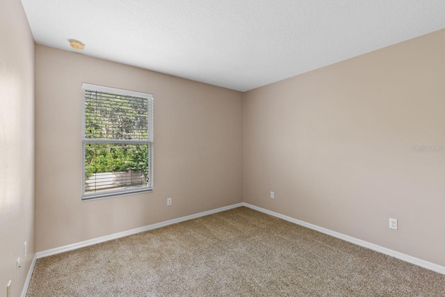 1703 Orrington Payne Pl, Casselberry, FL 32707 - photo 38