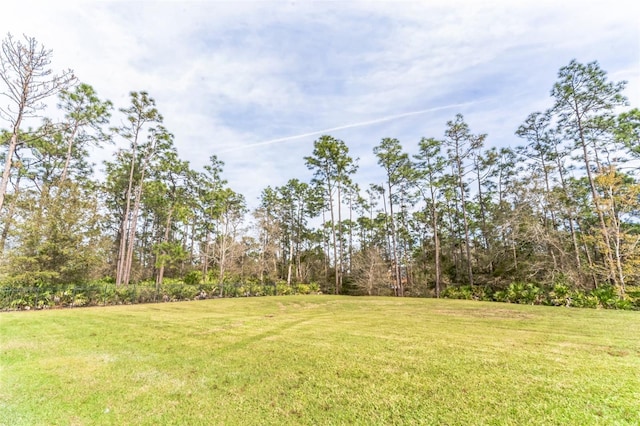 18623 Tunbridge St, Orlando, FL 32833 - view of green lawn