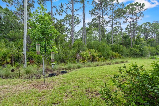 4194 Acoma Dr, Ormond Beach, FL 32174 - photo 41