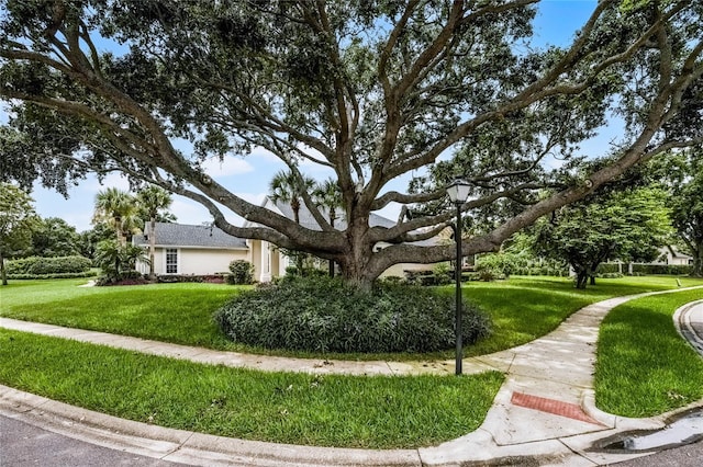11401 Willow Stowe Ln, Windermere, FL 34786 - photo 39