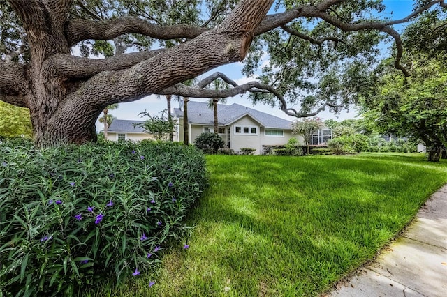 11401 Willow Stowe Ln, Windermere, FL 34786 - photo 40