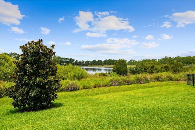 10180 Merrymeeting Bay Dr, Winter Garden, FL 34787 - view of grassy yard featuring a water view