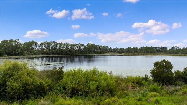 10180 Merrymeeting Bay Dr, Winter Garden, FL 34787 - water view with a heavily wooded area