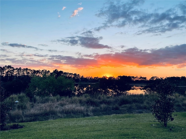 10180 Merrymeeting Bay Dr, Winter Garden, FL 34787 - view of yard