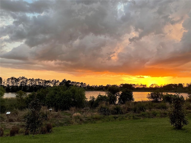 10180 Merrymeeting Bay Dr, Winter Garden, FL 34787 - nature at dusk with a water view
