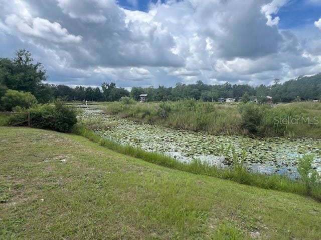 Ne 241 Avenue, Salt Springs, FL 32134 - photo 4